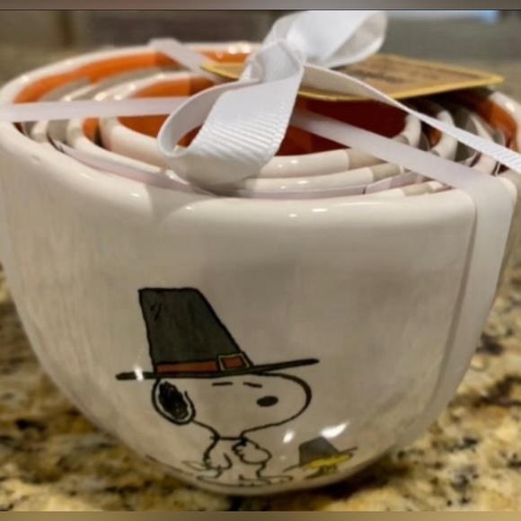 Rae Dunn Peanuts Thanksgiving fall nesting measuring cup set - NEW - Picture 1 of 5
